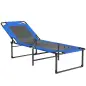 Tumbona Plegable con Respaldo Ajustable en 4 Posiciones Asas y Respaldo de Textilene Carga 120 kg 175x58x68 cm Azul