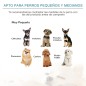 Sofá para Mascotas Sofá para Mascotas