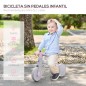 Bicicleta sin Pedales Bicicleta sin Pedales