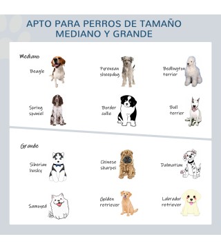 Comedero para Perros Elevado