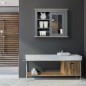 Armario de Baño con Espejo Armario de Baño con Espejo