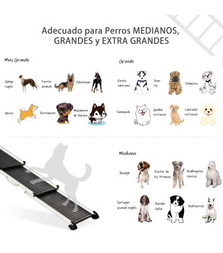 Rampa para Mascotas