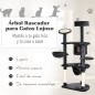 Árbol para Gatos Árbol para Gatos