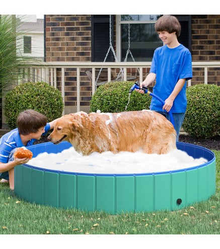 Piscina para Mascotas