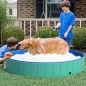 Piscina para Mascotas Piscina para Mascotas