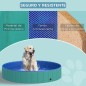Piscina para Mascotas Piscina para Mascotas