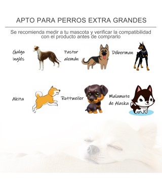 Cama Elevada para Mascotas