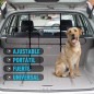 Separador Coche para Perro Separador Coche para Perro