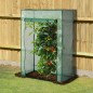 Invernadero para Tomates