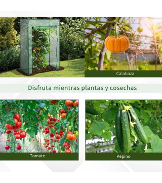 Invernadero para Tomates