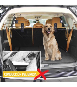 Separador Coche para Perro
