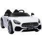 Coche Eléctrico Coche Eléctrico
