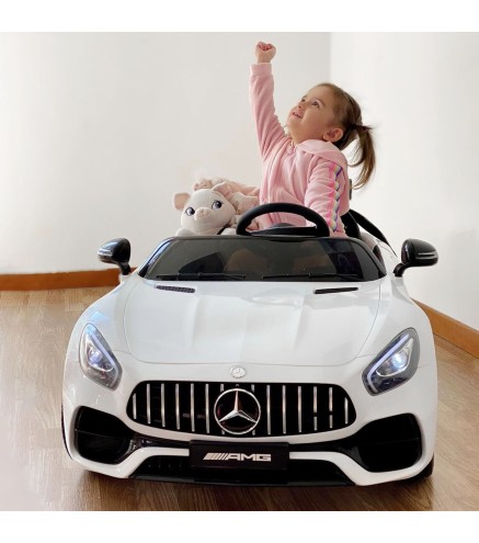 Coche Eléctrico