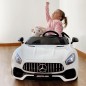 Coche Eléctrico Coche Eléctrico