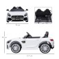 Coche Eléctrico Coche Eléctrico