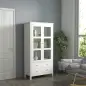 Vitrina de Salón Aparador de Cocina con 2 Puertas de Vidrio 3 Estantes 2 Cajones para Comedor Oficina 80x40x160cm Blanco