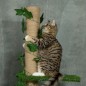Árbol para Gatos