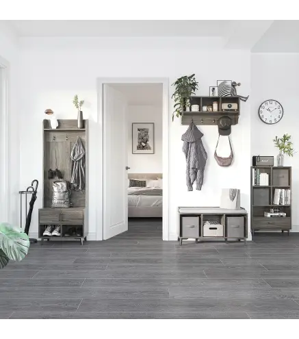 Perchero con Zapatero Perchero Entrada Recibidor con 3 Ganchos 2 Puertas 2 Compartimientos y Estante 60x34x170 cm Gris