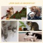 Árbol para Gatos