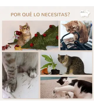 Estantes para Gatos