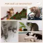 Juego de Escalada para Gatos de Pared Estantes para Gatos 4 Piezas Hamaca Nido Plataformas para Saltar Beige