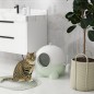 Arenero para Gatos