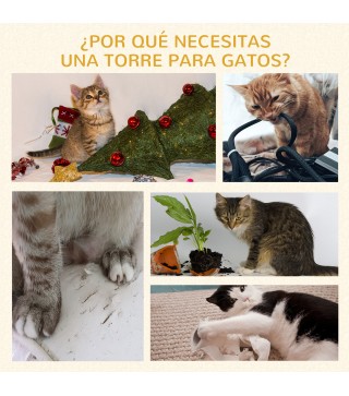 Árbol para Gatos