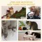 Árbol Rascador para Gatos Pequeños Altura 46 cm con Poste Tablero para Rascar Plataformas y Bola 35,5x37x46 cm Gris Árbol Rascador para Gatos Pequeños Altura 46 cm con Poste Tablero para Rascar Plataformas y Bola 35,5x37x46 cm Gris