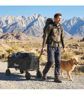 Carro de Jardín Plegable con Ruedas Bloqueables Mango Ajustable Portavasos Carga 80 kg para Campaña 85x50x99 cm Negro