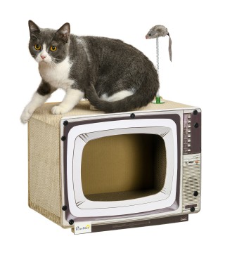 Rascador para Gatos