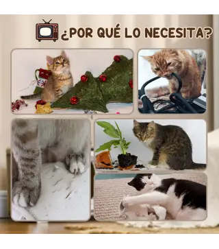 Rascador para Gatos