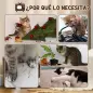 Rascador de Cartón para Gatos en Forma de Televisor con Ratón de Juguete 43x23x32,5 cm Arena