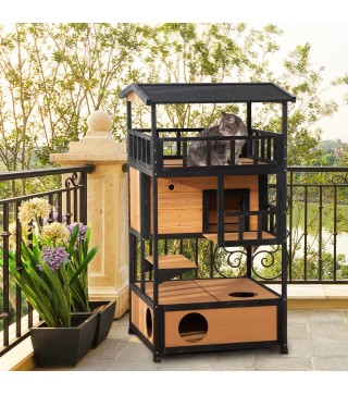 Caseta para Gatos