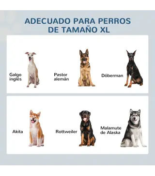 Comedero para Perros