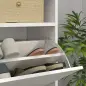 Armario Zapatero con Luces LED y 2 Cajones Abatibles para 12-16 Pares de Zapatos 80x24x99,5 cm Blanco Brillante