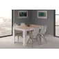 PRACTICO Mesa de comedor 90x140-190 EXTENSIBLE Roble Canadian/Blanco Artik
