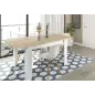 PRACTICO Mesa de comedor 90x140-190 EXTENSIBLE Roble Canadian/Blanco Artik