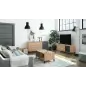 URBAN PLUS Mueble TV 2p+2c R.Nodi/Gris Antracita
