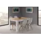 PRACTICO Mesa de comedor 90x140-190 EXTENSIBLE Roble Canadian/Blanco Artik