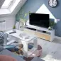 TOKIO Mueble TV 2 puertas Blanco Artik/Roble Canadian