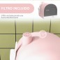 Arenero para Gatos Arenero para Gatos