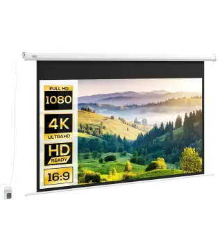 Pantalla de Proyector