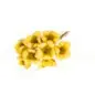 RAMILLETE CON 8 FLORES DECORACION 2.5 CM AMARILLO