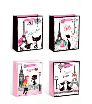 BOLSA PAPEL PARISINA