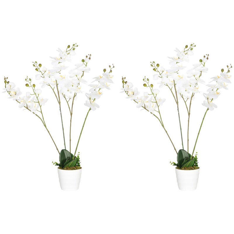 Phalaenopsis Artificiales Phalaenopsis Artificiales
