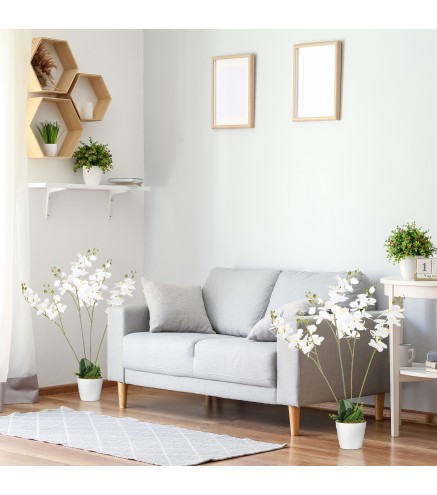 Phalaenopsis Artificiales