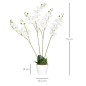 Phalaenopsis Artificiales Phalaenopsis Artificiales