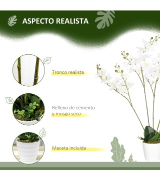Phalaenopsis Artificiales