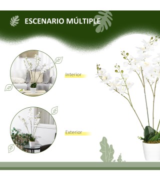 Phalaenopsis Artificiales