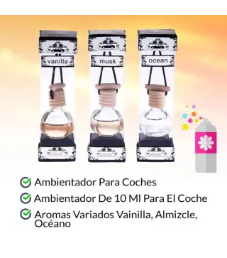 LOTE 12 FRAGANCIA AMBIENTADOR PARA COCHE